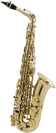 Selmer AXOS Professional Alto Saxophone 52AXOS