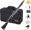 Jinqu B Flat 17 Key Clarinet Set