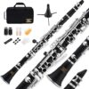 Eastar B Flat Clarinet Nickel-Plated ECL-300