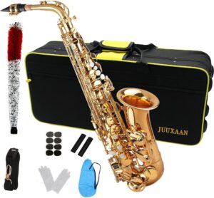 JUUXAAN Beginner Alto Saxophone With Accessories
