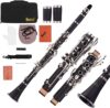 Mowind Beginner Bb Clarinet With Cleaning Kit