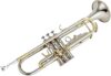 TSTS Beginner Bb Trumpet Brass Silver With Case