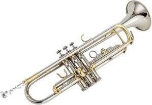 TSTS Beginner Bb Trumpet Brass Silver With Case