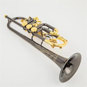HJDFRTE Beginner Bb Trumpet Rotary Valve B Flat