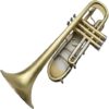 TSTS Beginner Trumpet Brass Plated Instrument
