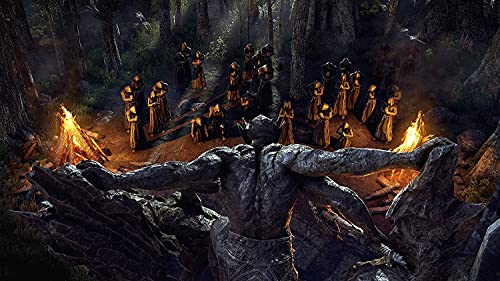 The Elder Scrolls Online Collection - Image 3