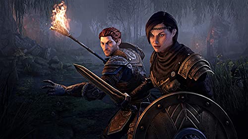 The Elder Scrolls Online Collection - Image 2