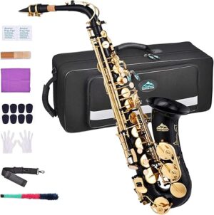 EASTROCK Black/Golden Alto Saxophone E Flat Sax Full Kit