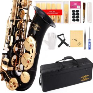 GLORY Black Lacquer E Flat Alto Saxophone