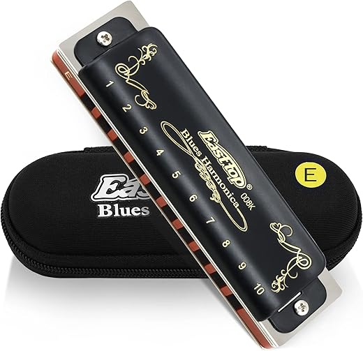 East top Blues Harmonica 10 Hole E Natural Minor
