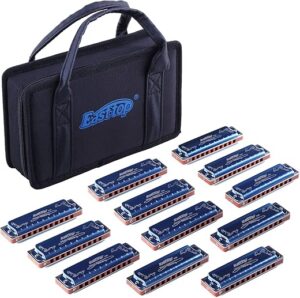 East top Blues Harmonica Set 12 Keys 008K