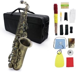 Btuty Bronze Alto Saxophone Antique Finish With Case