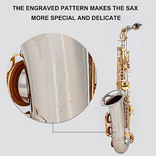 Btuty Eb Alto Saxophone Brass E Flat 802 - Image 5
