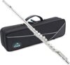 EASTROCK C Flute Instrument, 16 Keys Closed Hole