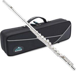 EASTROCK C Flute Instrument, 16 Keys Closed Hole