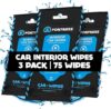 Fortress Car Interior Wipes (25 ct, Pack of 3)