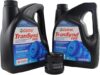 Stone River Products Castrol TranSynd 668 Allison 29539579 Filter