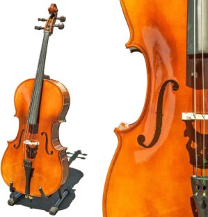 Paititi CE4009SE Avant-Garde Glossy Finish Cello
