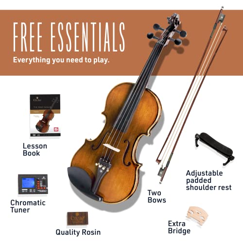 Cecilio CVN-600 4/4 Solidwood Violin With Prelude Strings - Image 4