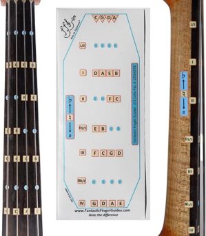 FFG NOTE THE DIFFERENCE Cello Fingerboard Stickers, 1/4 Size