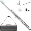 Fesley Closed Hole 16 Keys Student Flute
