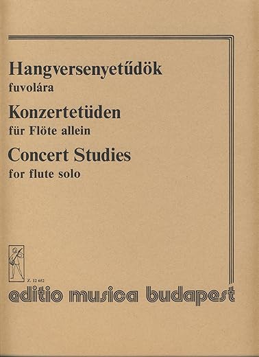 Concert Studies For Flute Solo