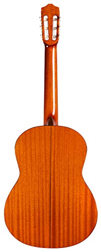 Cordoba C5 Nylon String Classical Guitar - Image 3