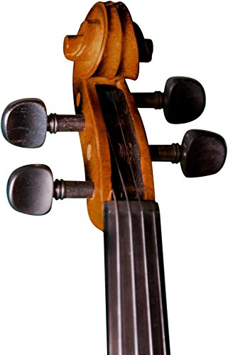 Cremona SV-130 Premier Novice Violin Outfit - Image 4