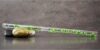 Hall Crystal Flutes Crystal Flute 11204 – Green Ivy Piccolo