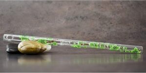 Hall Crystal Flutes Crystal Flute 11204 – Green Ivy Piccolo