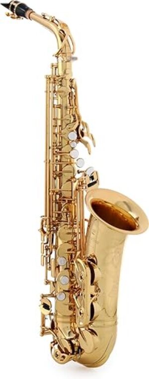 YAMAHA Custom Professional Alto Saxophone YAS-82ZII