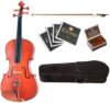 Cecilio CVA-400 Solidwood Viola, 14-Inch