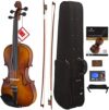Cecilio CVN-300 Solidwood Ebony Violin, Size 1/4