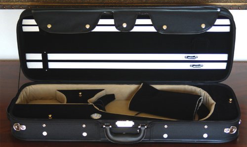 D Z Strad Viola #N301 With Case And Bow - Image 2
