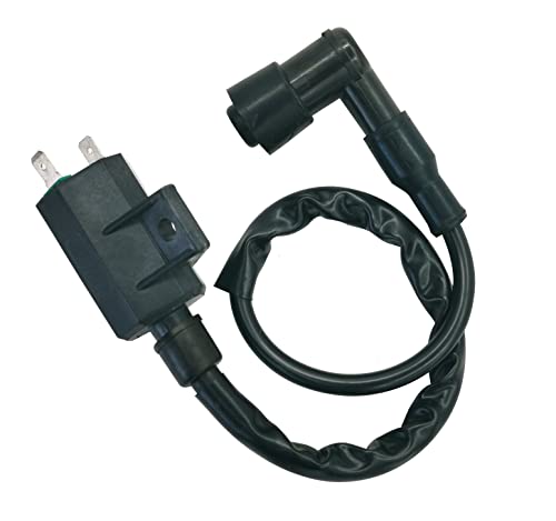DABAZUALY Ignition Coil & CDI Box Replacement 1996-2011, Part# 21119-1457 21121-1160 - Image 3