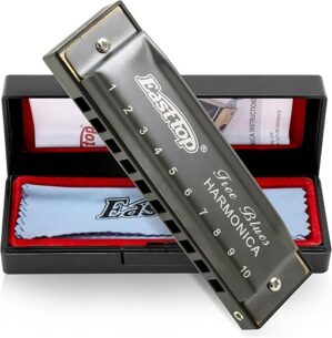 East top Diatonic Blues Harmonica Key Of C