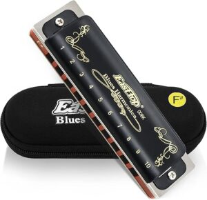 East top Diatonic Harmonica Key Of F# 008K