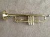 Conn Director Bb Student Trumpet, Lacquer