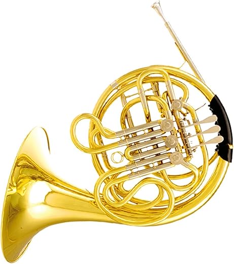 DZDZDZ Double Row F/Bb French Horn Set