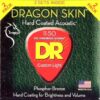 DR Strings Dragon Skin Acoustic Guitar Strings DSA-2/11