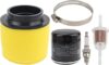 CARBBIA Dual Stage Air Filter FS-936 0470-322