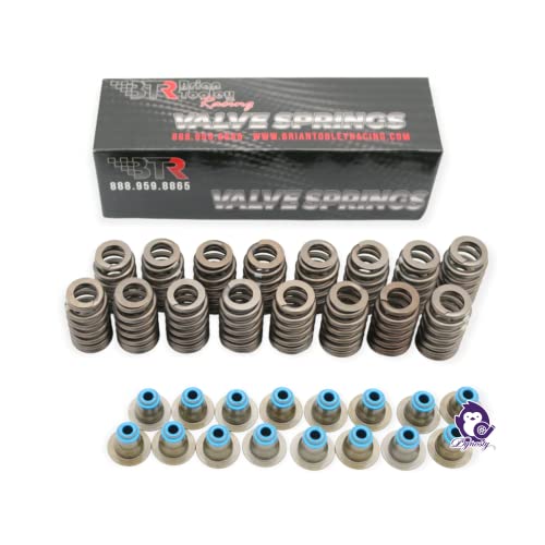 Dynosty Cam Kit With Pushrods Delphi Lifters - Image 3