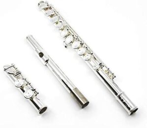 Di Zhao DZ-200 Student Flute