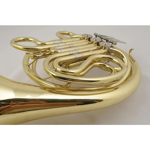 DZDZDZ Double Row Brass French Horn Set - Image 3