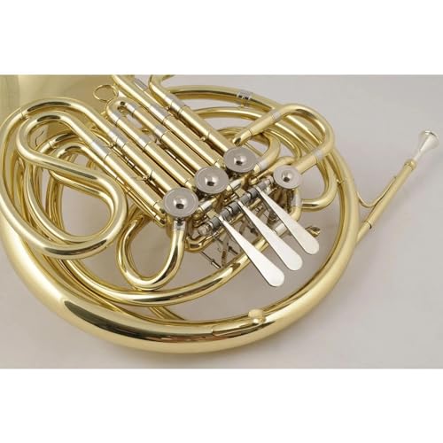 DZDZDZ Double Row Brass French Horn Set - Image 4