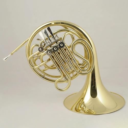 DZDZDZ Double Row Brass French Horn Set - Image 2
