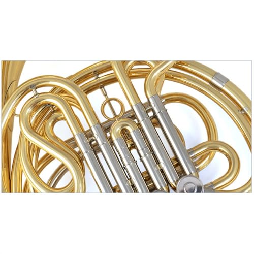 DZDZDZ Double Row Brass Lacquered French Horn - Image 4