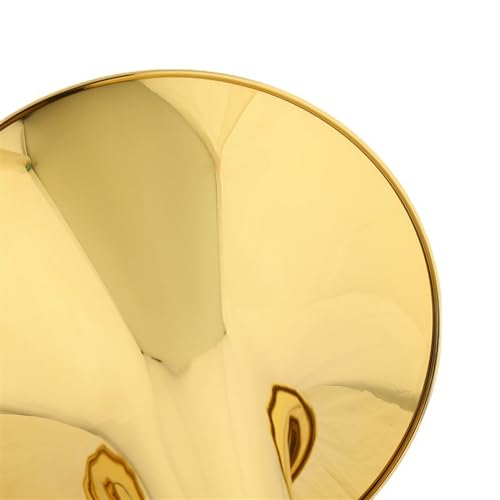 DZDZDZ Double Row F/Bb French Horn Set - Image 3