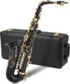 GODECOR E Flat Brass Alto Saxophone With Accessories