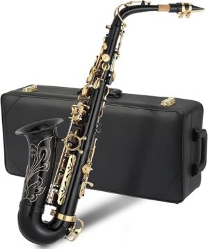 GODECOR E Flat Brass Alto Saxophone With Accessories